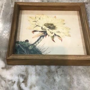 4x6 framed picture